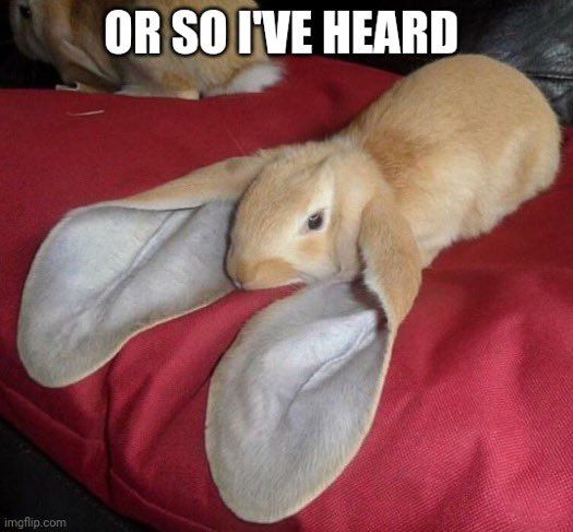 Bunny with big ears with a caption "or so I've heard"