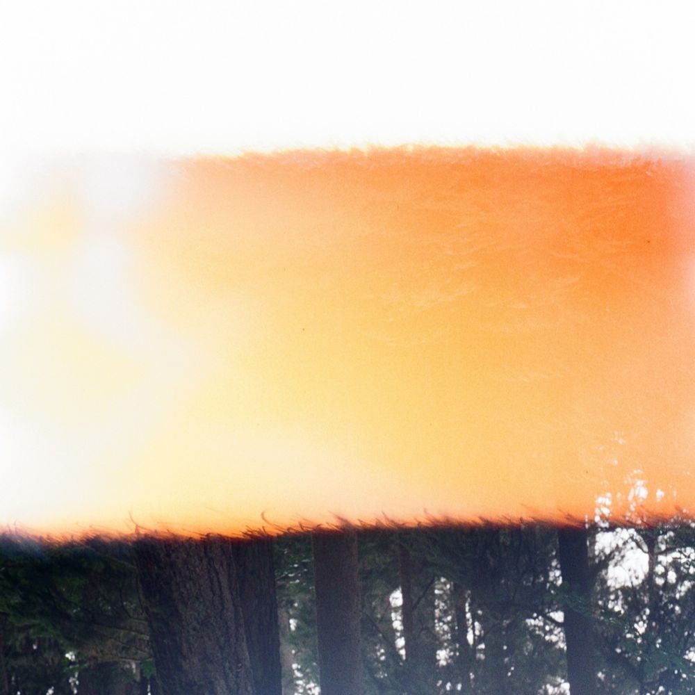 a light leak photo of a forest. it bleeds from white to orange.