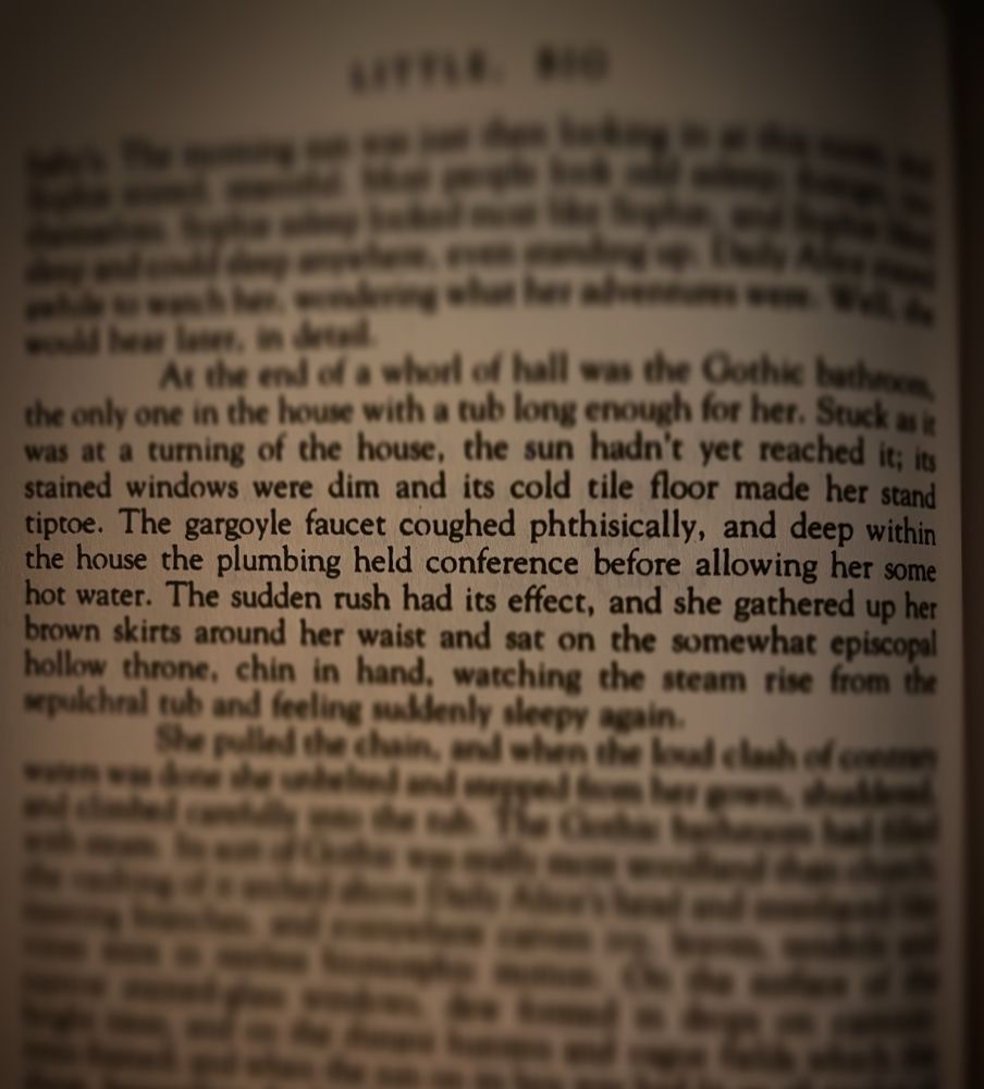 A page of a book, most of the text is blurred so that all we can read is: The gargoyle faucet coughed phthisically, and deep within the house the plumbing held conference before allowing her some hot water.