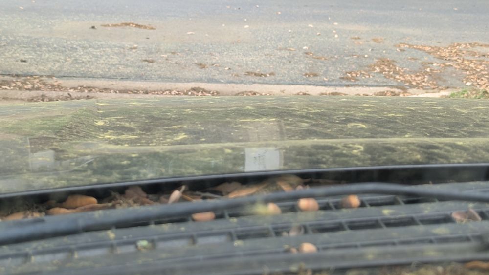 Hood covered in pollen