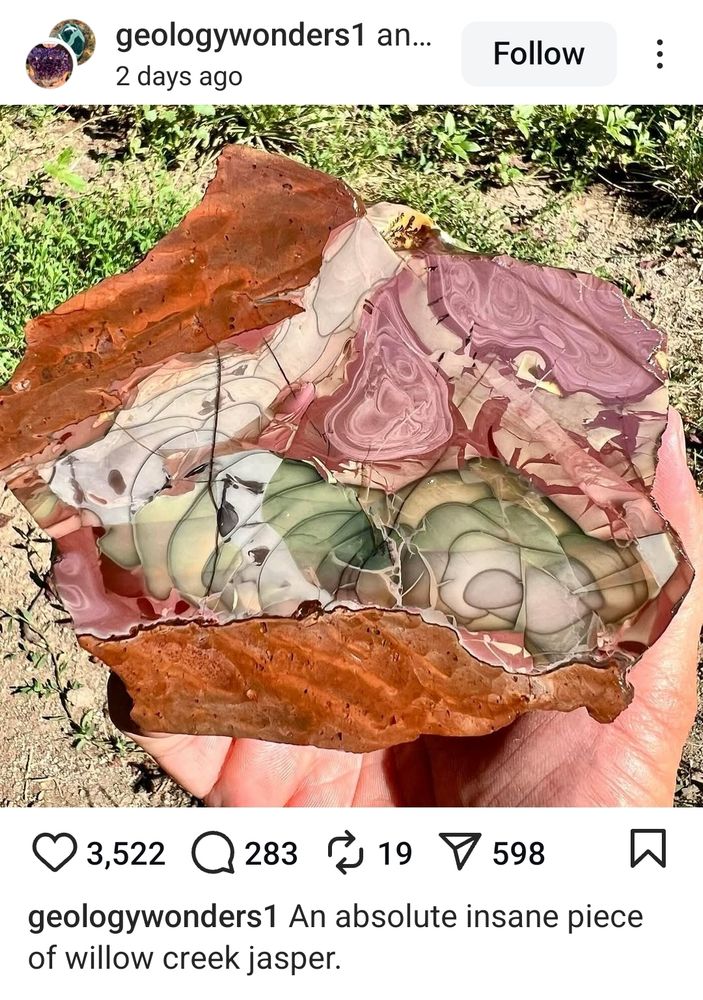The caption says it's Willow Creek Jasper, but it looks like meat and pickles and onions and sauce on a flatbread