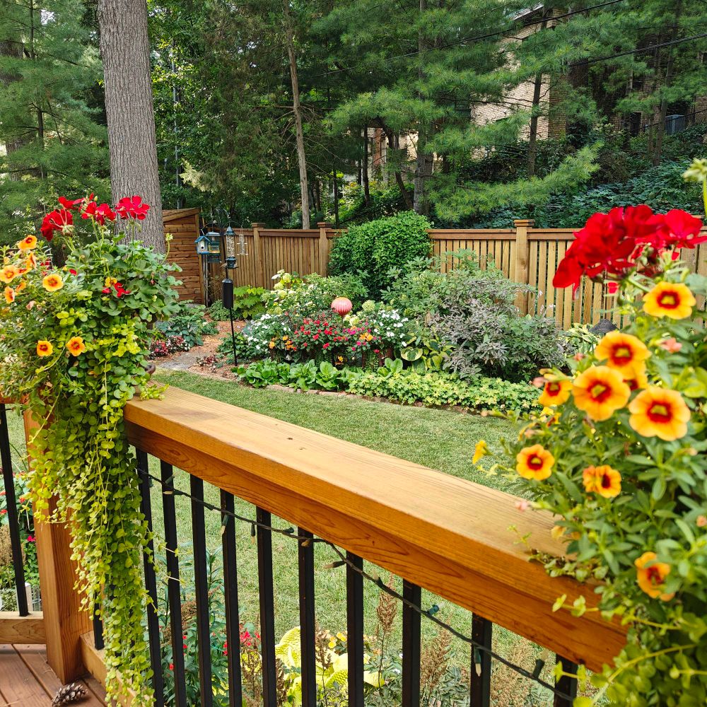 Two beautiful planters on a railing. Beyond is a little bit of lawn but mostly just flowers everywhere