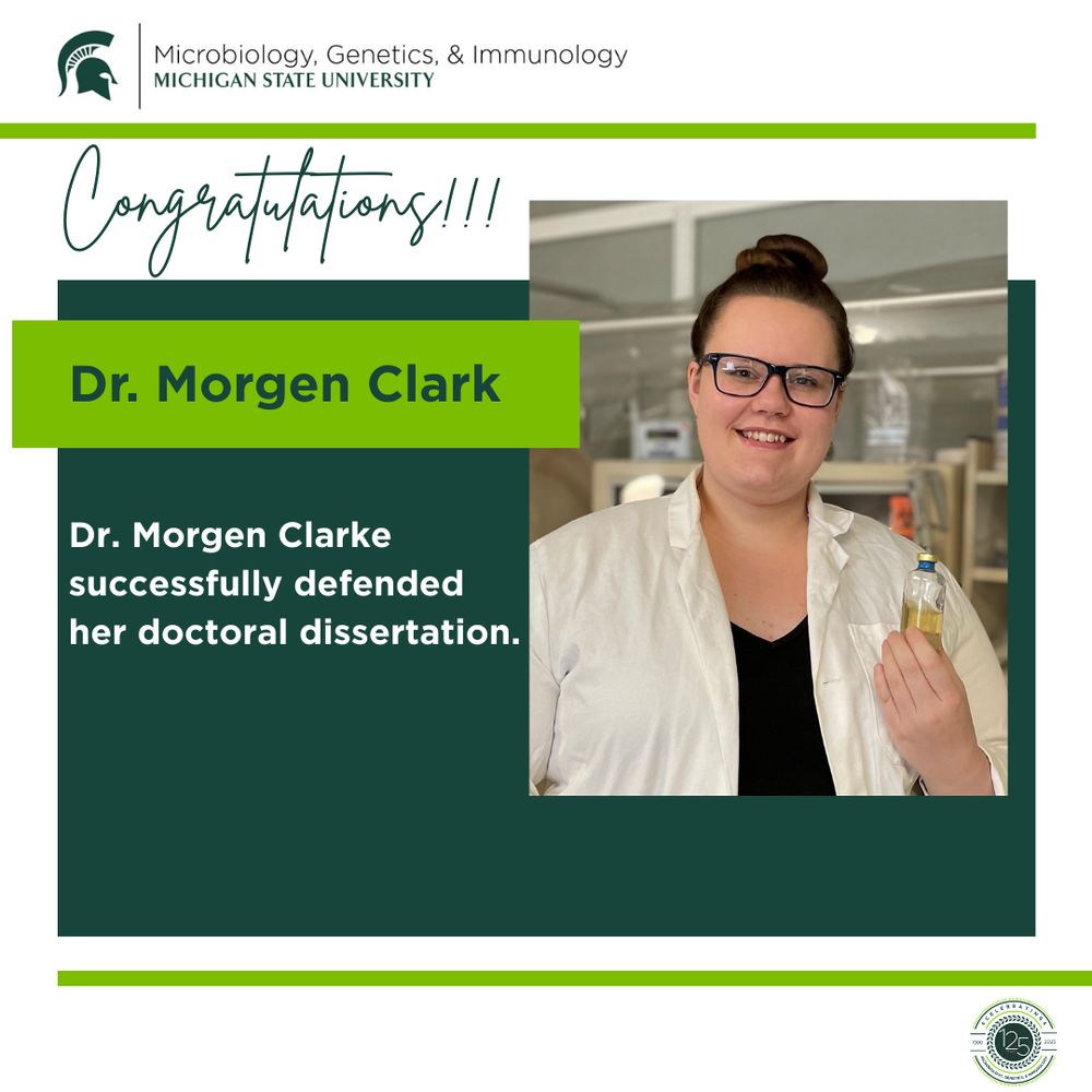 The image is a congratulatory graphic from Michigan State University's College of Microbiology, Genetics, & Immunology. At the top left corner is the college logo and name in green text. Below, in handwriting-style green text, it says "Congratulations!!!" The main focus is a rectangular photo of Morgen Clark smiling and holding a small bottle with transparent liquid, wearing a white lab coat and glasses. To the left of the photo, on a green background, is the name "Morgen Clark" in large, bold letters. Below, it reads "Dr. Morgen Clarke successfully defended her doctoral dissertation." The design features a green and light green color scheme, with a circular logo in the bottom right corner.
