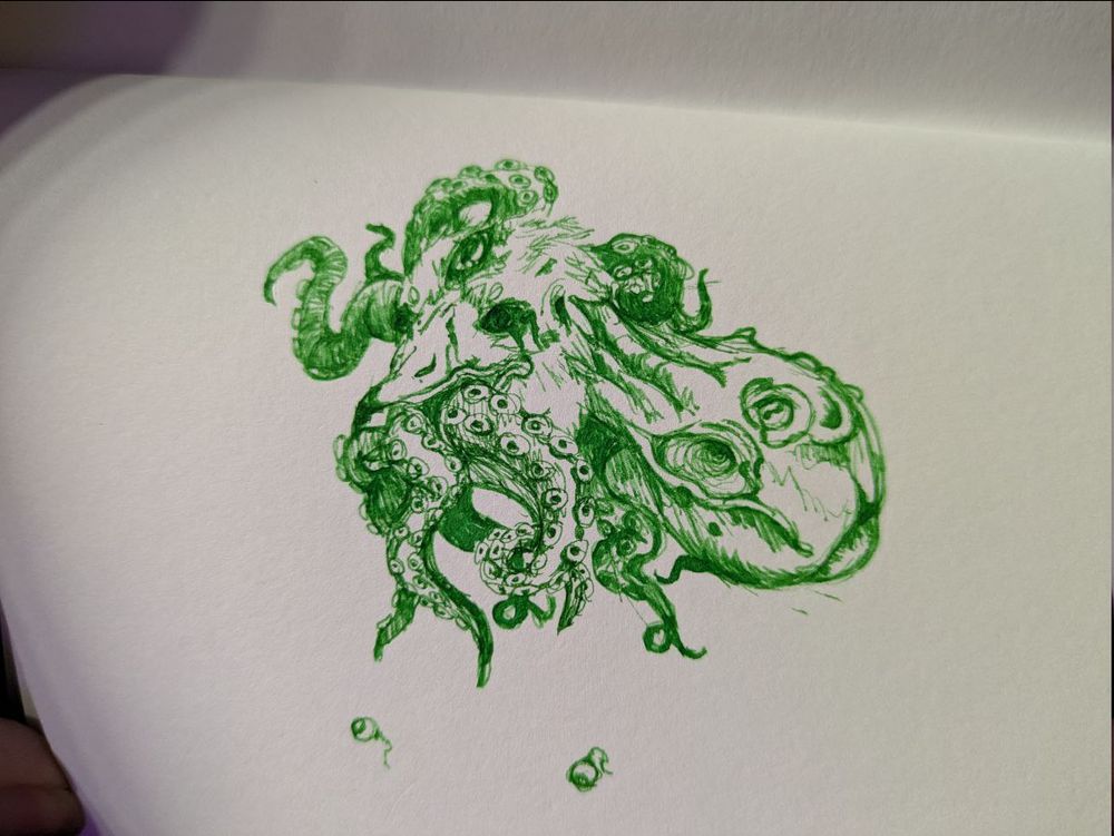 A decapitated seagull head that has become a house for the octopus we presume it tried eat some time ago. Drawn in green ink.