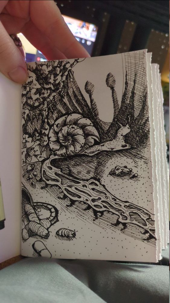 Pen drawn snail 