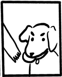 "No take, only throw" dog meme
