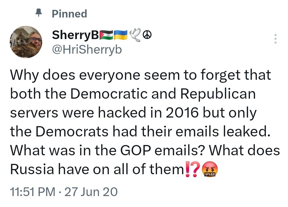 My pinned Twitter post. Still wondering!