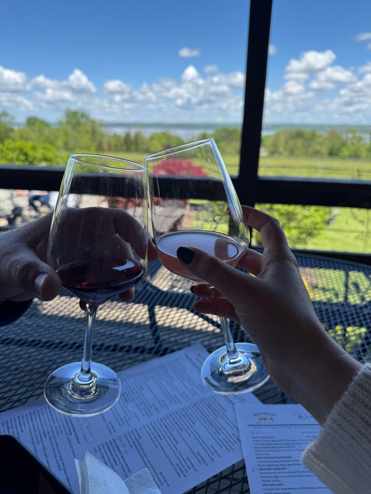 Two wine glasses being clinked together with a vineyard and lake in the background.