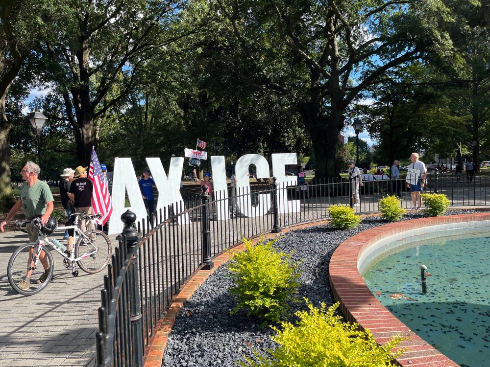 Protest sign that says Ax ICE