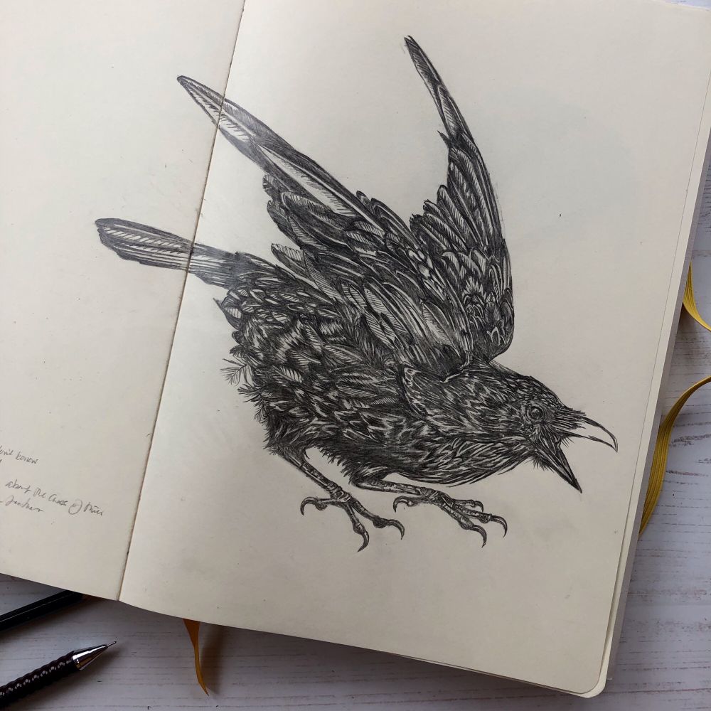 Drawing of a bird