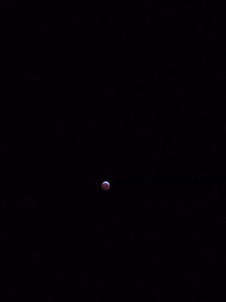 a grainy photo of the blood moon lunar eclipse
