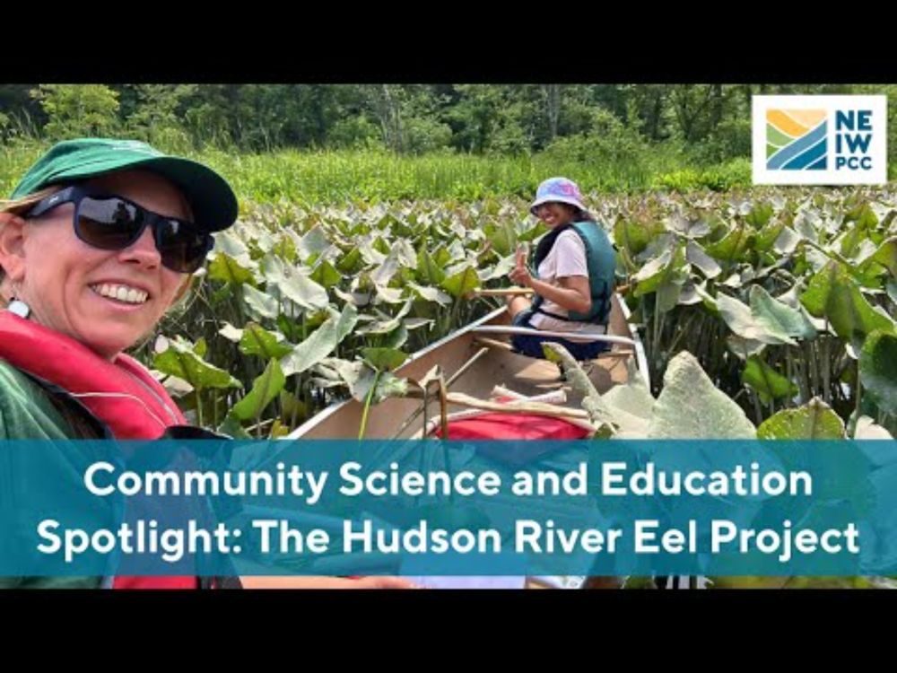 Community Science and Education Spotlight: The Hudson River Eel Project