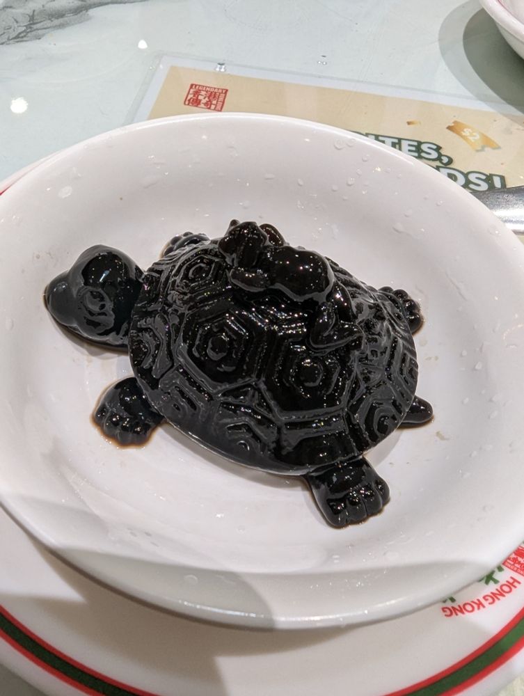 Turtle jelly in a white bowl-plate. 