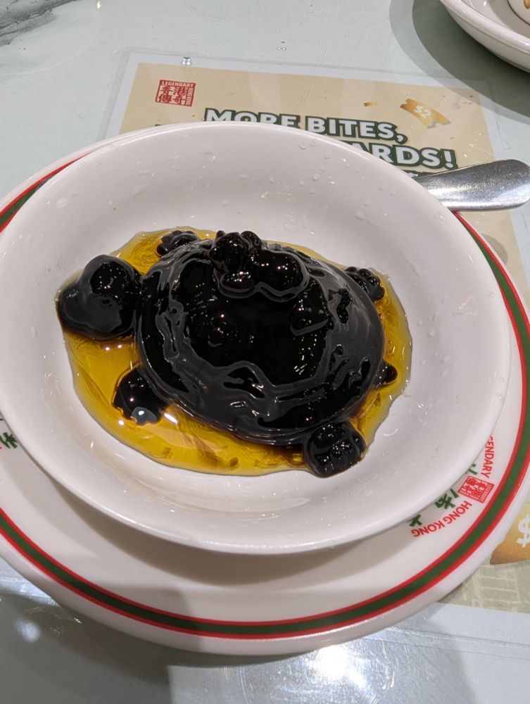 A turtle jelly swimming in golden honey.