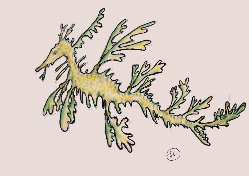 The extreme leafy sea dragon version of Ramoth. 