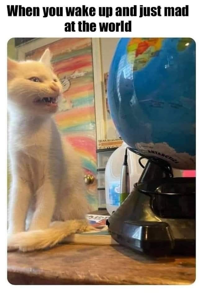 When you wake up and just mad
at the world

