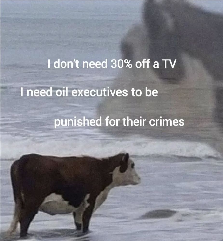 I don't need 30% off aTV

need oil executives to be

punished for their crimes

