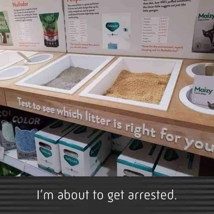  Test to see which litter is right for you I'm about to get arrested. 