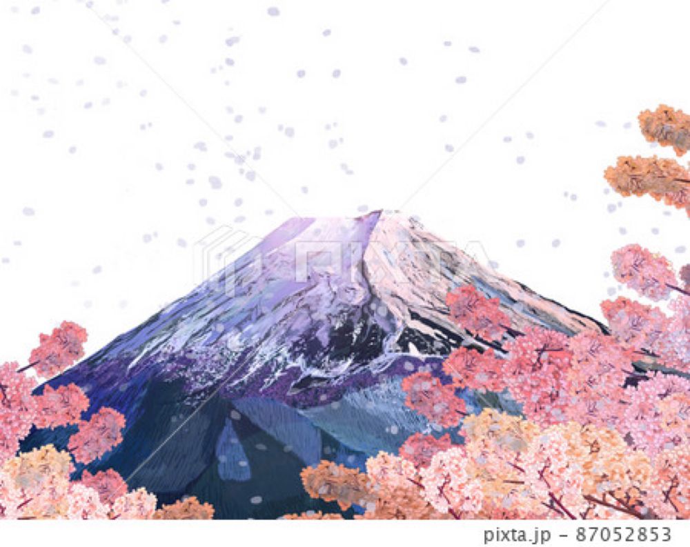 富士山と桜吹雪2白バック_横のイラスト素材 [87052853] - PIXTA