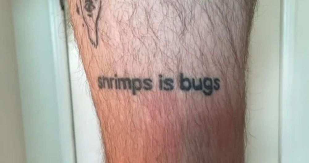 Comment image