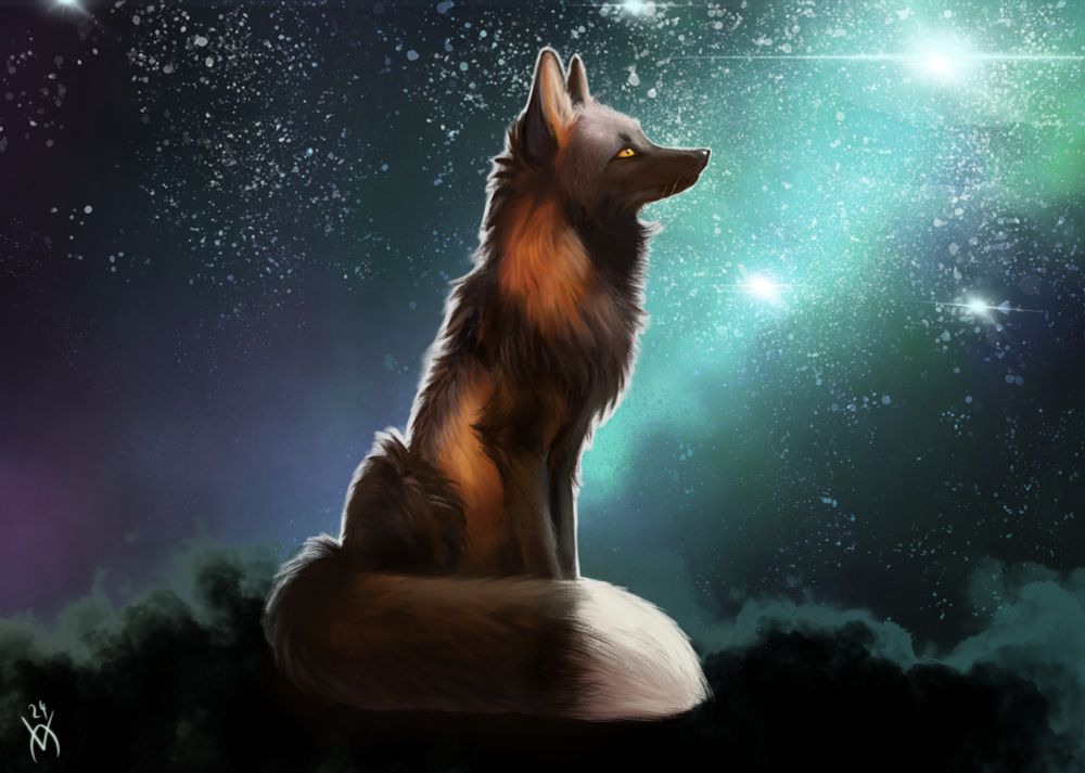 Digital drawing of a cross fox sitting front of a very starry, colourful night sky. 