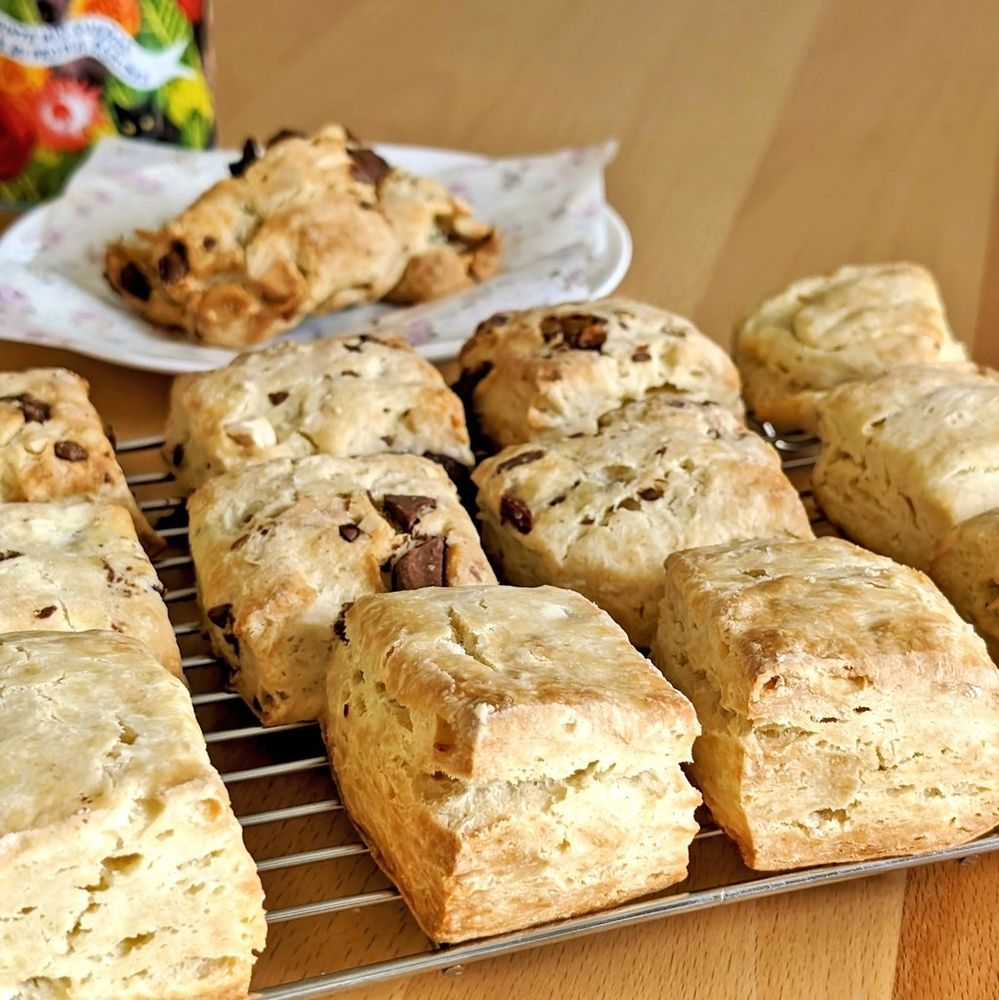 四角い手作りスコーンが網の上に沢山並んでいる
手前はプレーンで奥がチョコチップ