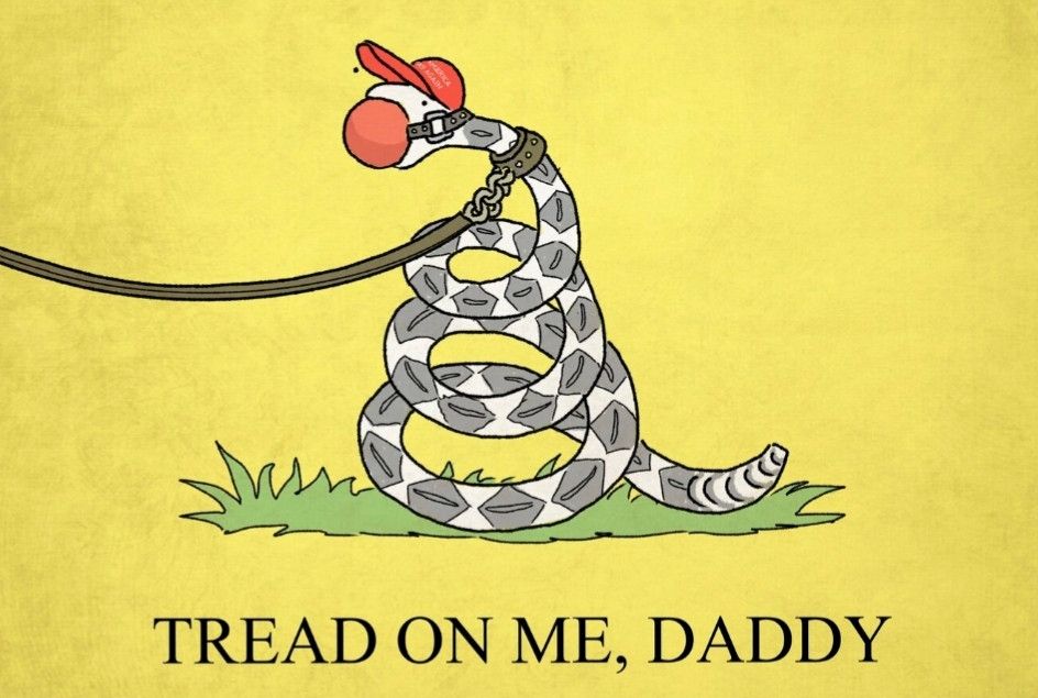 A yellow flag with a coiled rattlesnake on it. The rattlesnake is wearing a red MAGA hat, a ball gag, collar and leash. 

Under the snake are the words "tread on me, daddy"