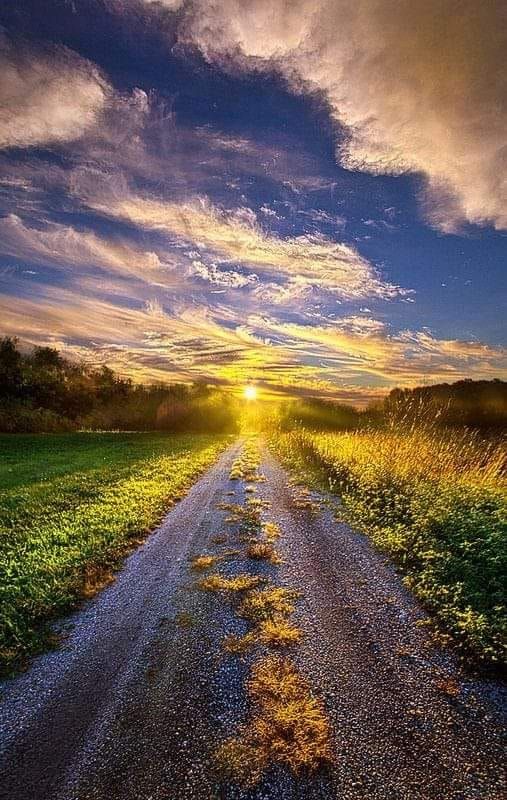 A nature scene of a road through fields