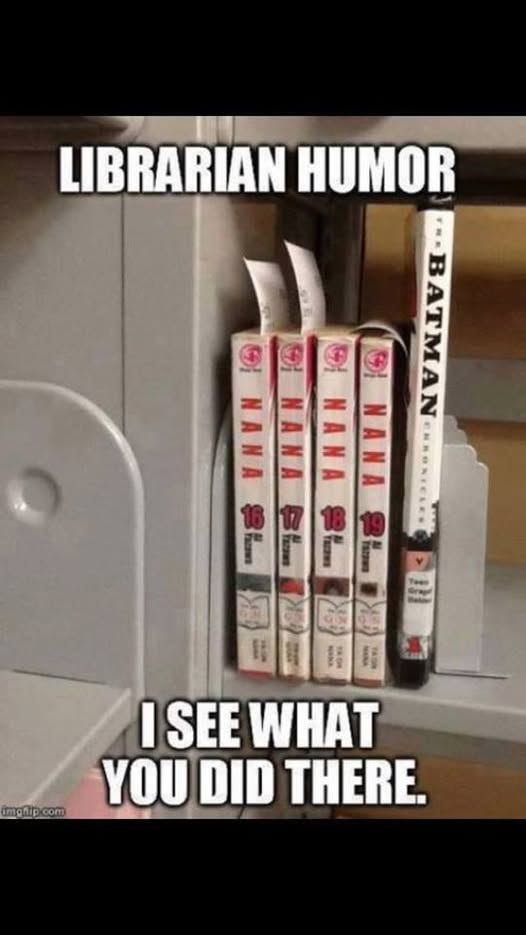 Title: Librarian Humor.  Below it are 5 books on a shelf.  The first three are titled, Nana, Nana, Nana, Nana, and the fifth book is titled, Batman.
Below the books are the words, "I see what you did there."