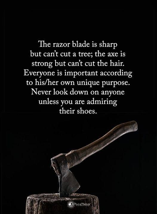 The razor blade is sharp but can't cut a tree; the axe is strong but can't cut the hair. Everyone is important according to his/her own unique purpose. Never look down on anyone unless you are admiring their shoes.