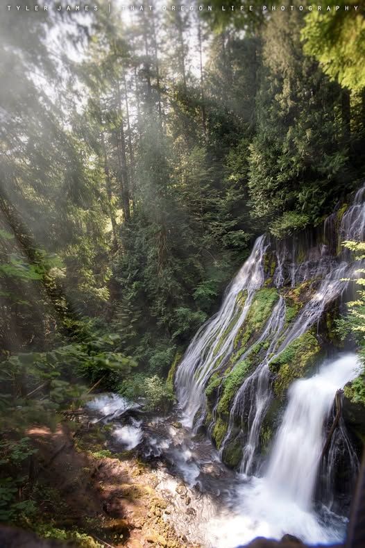 Panther Falls Creek,