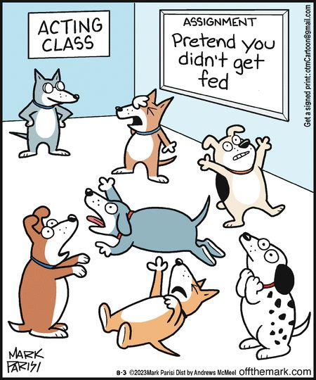Sign on a wall says, "Acting Class."  The chalkboard says, "Assignment Pretend you didn't get fed."
The cartoon shows dogs pretending to be starving.