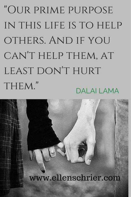 Two people holding pinky fingers.  The caption reads, "Our prime purpose in this life is to help others.  And if you can't help them, at least don't hurt them."
~Dalai Lama