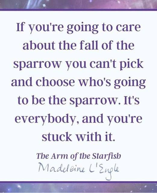 "If you're going to care about the fall of the sparrow, you can't pick and choose who's going to be the sparrow.  It's everybody, and you're stuck with it."
~Madeline L'Engle, 'The Arm of the Starfish'
