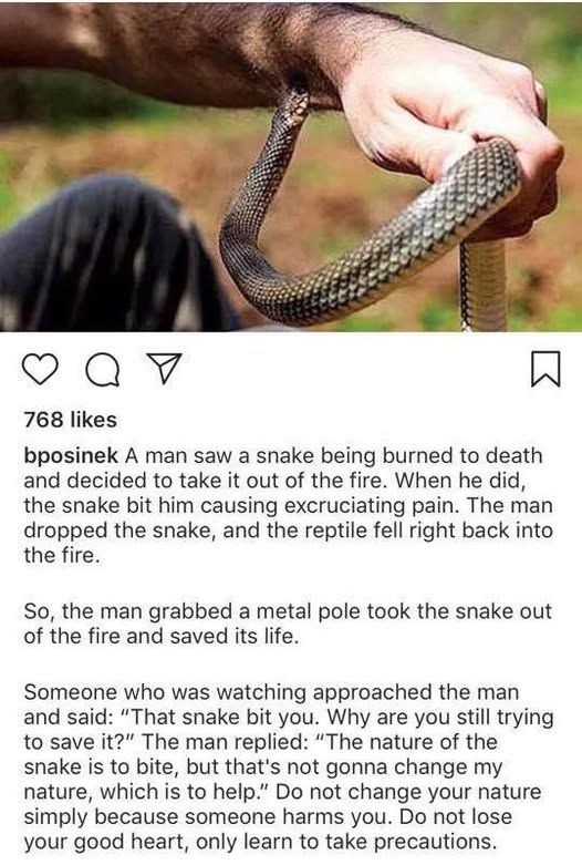 A photo of a hand holding a snake while the snake bites the arm.

"A man saw a snake being burned to death and decided to take it out of the fire. When he did the snake bit him causing excruciating pain. The man dropped the snake, and the reptile fell right back into the fire. 

So, the man grabbed a metal pole took the snake out of the fire and saved its life.

Someone who was watching approached the man and said, 'That snake bit you.  Why are you still trying to save it?' The man replied, 'The nature of the snake is to bite, but that's not gonna change my nature, which is to help.'  Do not change your nature simply because someone harms you.  Do not lose your good heart, only learn to take precautions."