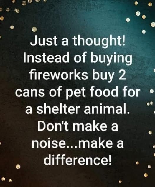 Just a thought! Instead of buying fireworks buy 2 cans of pet food for a shelter animal. Don't make a noise, make a difference.