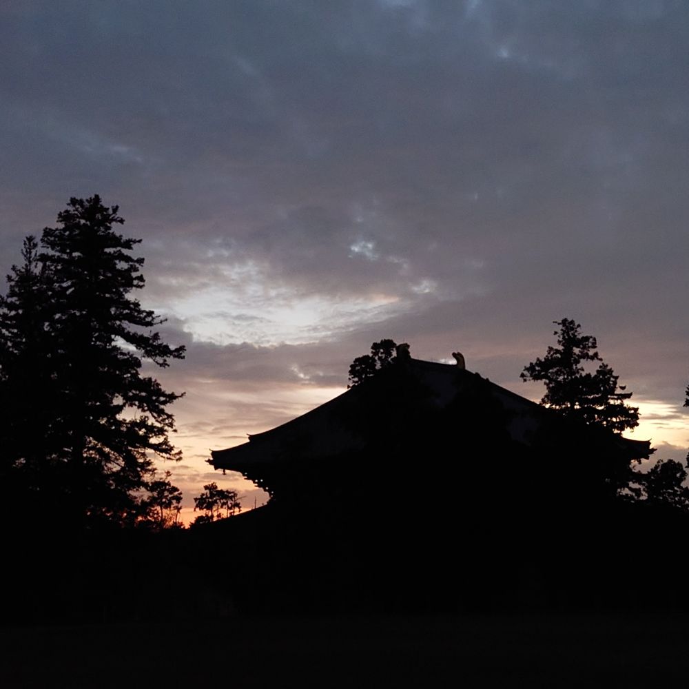 夕暮れ時の大仏殿
やっぱり大仏殿でかい。すき。