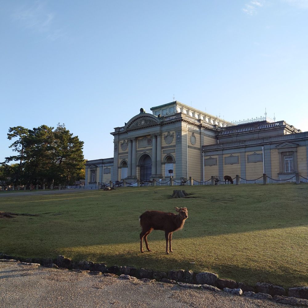 奈良国立博物館と目線をくれた男鹿ちゃん。