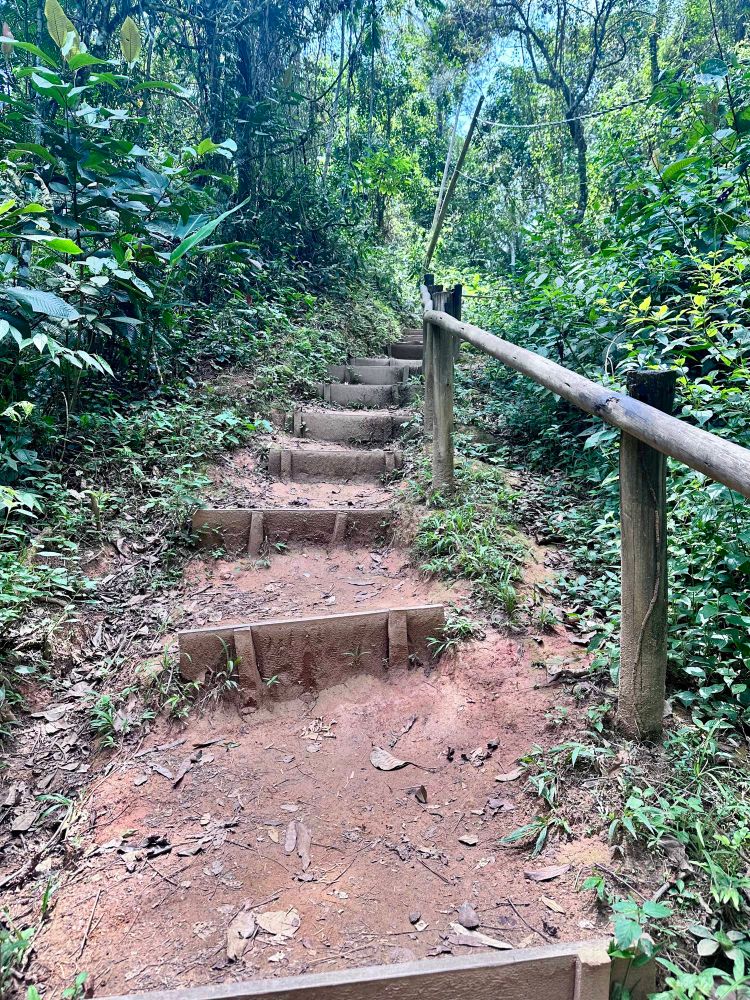 Imqgem de um trecho da trilha que leva a uma praia um pouco distante. 