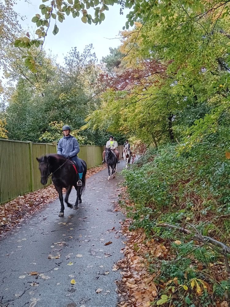 Horse-riders on a quiet tarmac lane. Fence to the left of the photo; trees slightly overhanging on right.