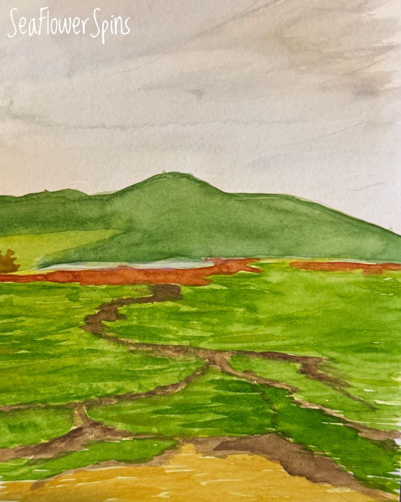 My first watercolour based on the scene - a Scottish saltmarsh near Ardgour - the foreground is deep grass with brown channels winding across it. Behind the marsh is a sliver of light blue loch and a grass-green mountain in cloud-shade and a pale grey sky. 