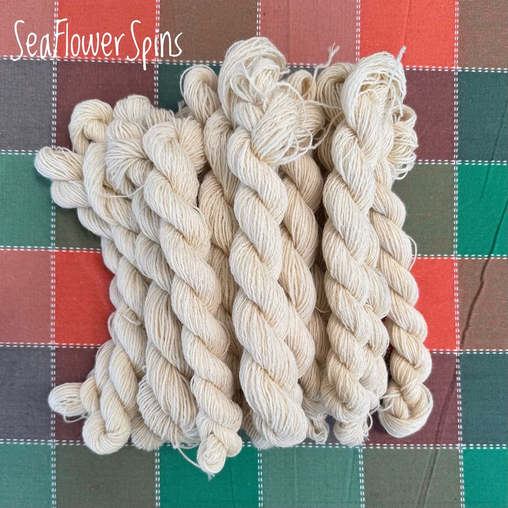 26 small handspun skeins of fine Shetland in a pile - all are undyed creamy-white, and they’re displayed on an orange and green woven cloth. They’re mostly 3 ply yarns, and are all fingering weight. Spun on a one-of-a-kind Majacraft wheel. Each skein is roughly 20g, so there’s more than half a kilo of yarn in this pile. 