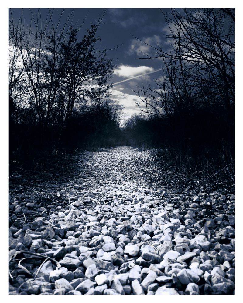Broken stone path in the forest.