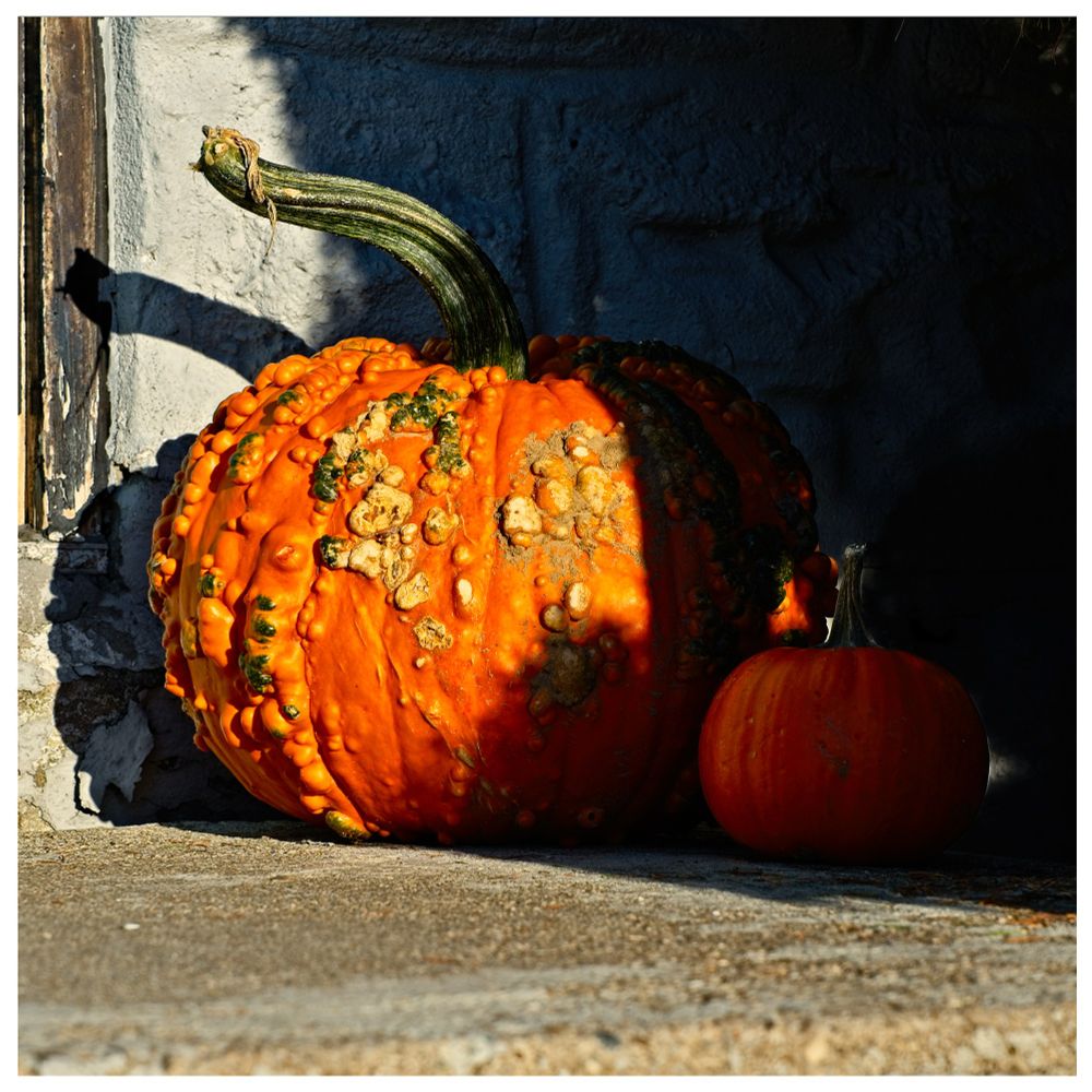A bumpy pumpkin sitting on a concrete landing. The pumpkin has bumps all over it.