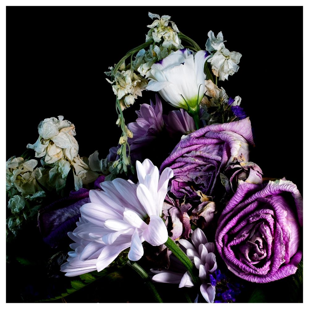 Still life of dying flowers.