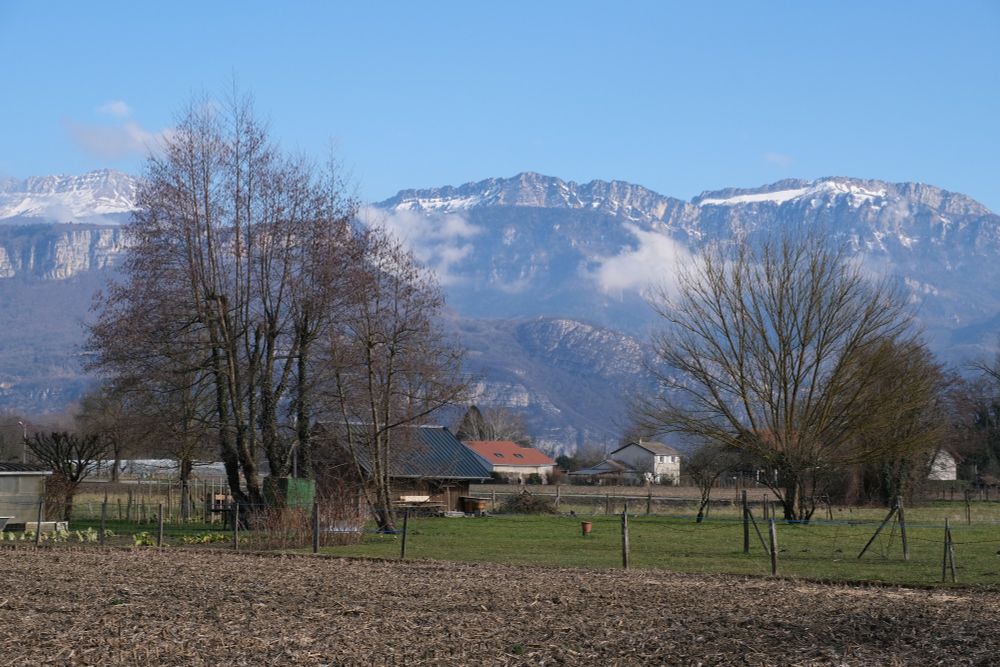 Flat farmland sits in front of a looming snow-capped mountain range with colours hanging halfway to the summit