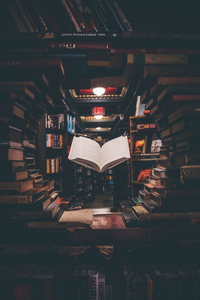 Photo of a book floating in a hidden cove at a library. Picture taken and manipulated by Jaredd Craig.