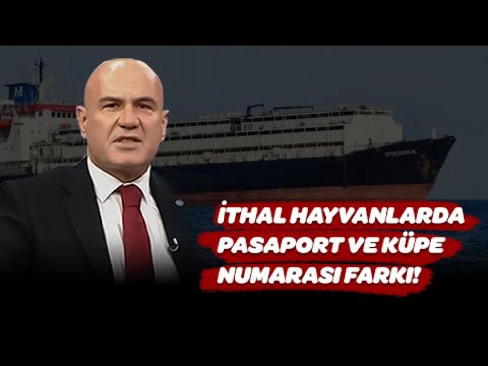 İTHAL HAYVANLARDA PASAPORT VE KÜPE NUMARASI FARKI | SÖZCÜ 31 KASIM 2025