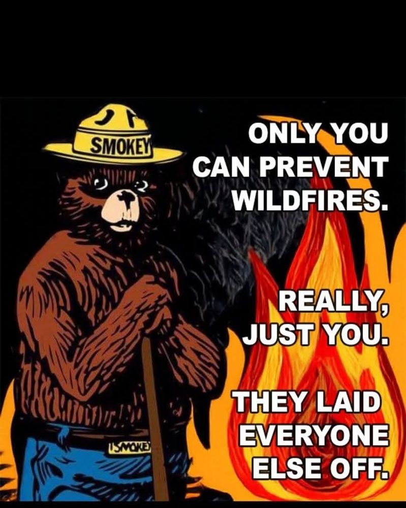Image of Smokey the Bear standing by a large fire. Text says, "Only you can prevent wildfires. Really, just you. They laid everyone else off."
