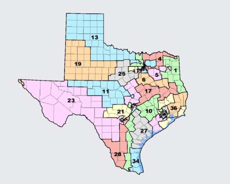 Map of Texas gerrymander, with districts snaking across the snake in a ridiculous way